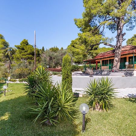 Skopelos Country House Diamantis & Chrisi Agnontas Ngoại thất bức ảnh