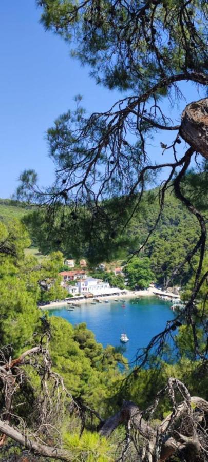 Skopelos Country House Diamantis & Chrisi Agnontas Ngoại thất bức ảnh