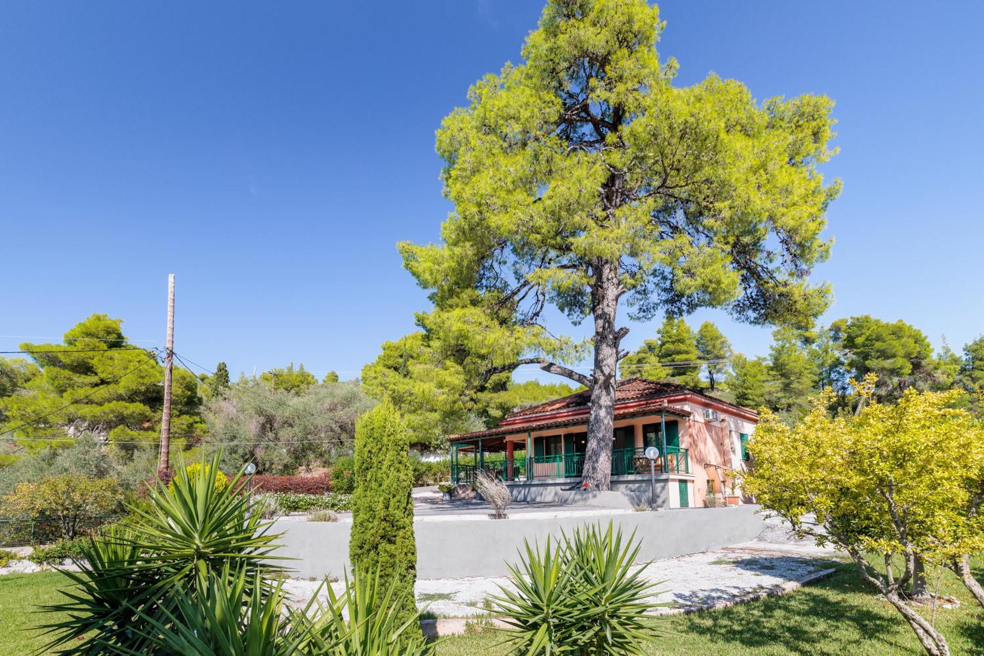 Skopelos Country House Diamantis & Chrisi Agnontas Ngoại thất bức ảnh